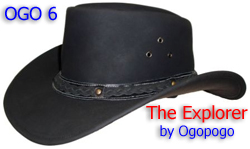 The Ogopogo Explorer